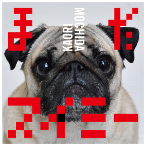 拍击 青少年 业余打板子
