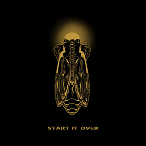 拍击 青少年 业余打板子
