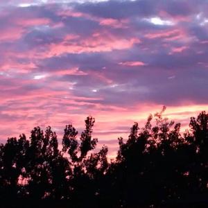 拍击 青少年 业余打板子
