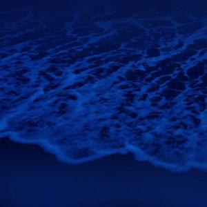 拍击 青少年 业余打板子
