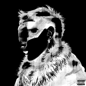 拍击 青少年 业余打板子
