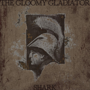 拍击 青少年 业余打板子
