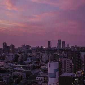 拍击 青少年 业余打板子
