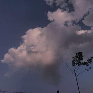 拍击 青少年 业余打板子
