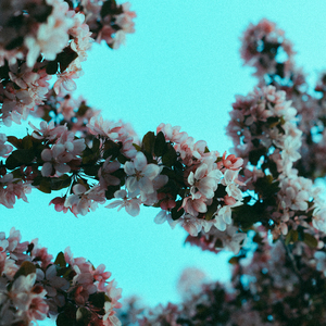 拍击 青少年 业余打板子
