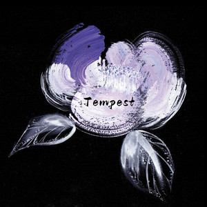 拍击 青少年 业余打板子
