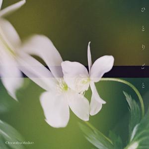 拍击 青少年 业余打板子
